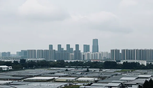 网络推广选型中如何避免常见误区？