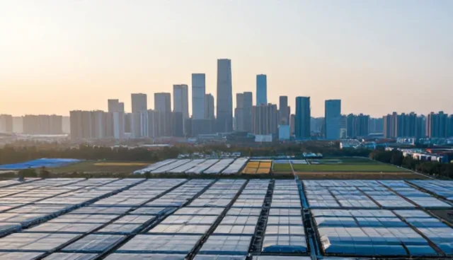 流量提升：官网建设的适用条件分析
