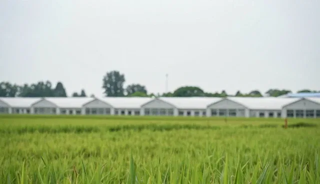 选型关注点：SEO优化服务整合的关键要素分析